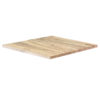 Horeca-Mangohout-Tafelblad-Solid-25-Cm-Dik-1