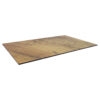 Horeca-Tafelblad-TAVOLUX-FINDUS-70x120-12-mm-Dik-2048x2048 B